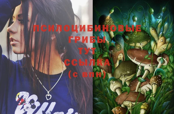 дмт Краснотурьинск