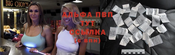 сатива Краснослободск