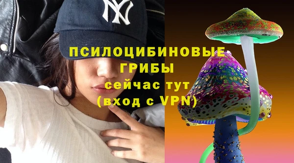дмт Краснотурьинск