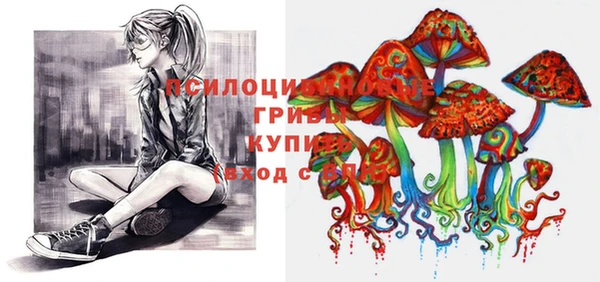 a pvp Кукмор