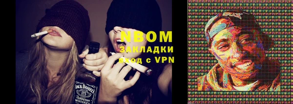 сатива Краснослободск