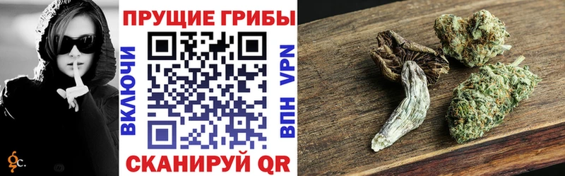 Купить где  Белая Холуница  Галлюциногенные грибы ЛСД 